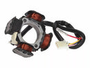 Aprilia Rs 250 [101 Octanne] -alternator butikker-1