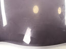 Kawasaki GPZ 1100 ZXT10E [1997] - Design Disc Visor-2
