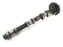 Triumph Thunderbird 900 T309RT [1996] - Camshaft Outlet Camshaft-1