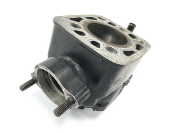 Suzuki RG 250 Gamma GJ21D [1987] - højre cylinder cylinderforing - 0