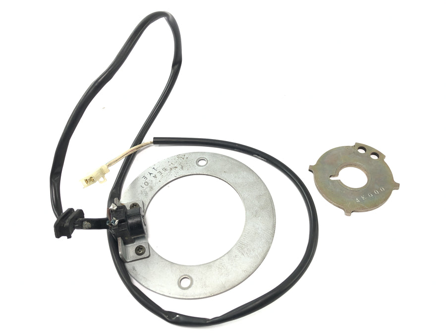 Yamaha XJR 1300 RP06 [2002] - Pickup generator statorplade kontrolplade