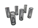 Ducati 900 SS [1991] - Kobling Springs Set-1