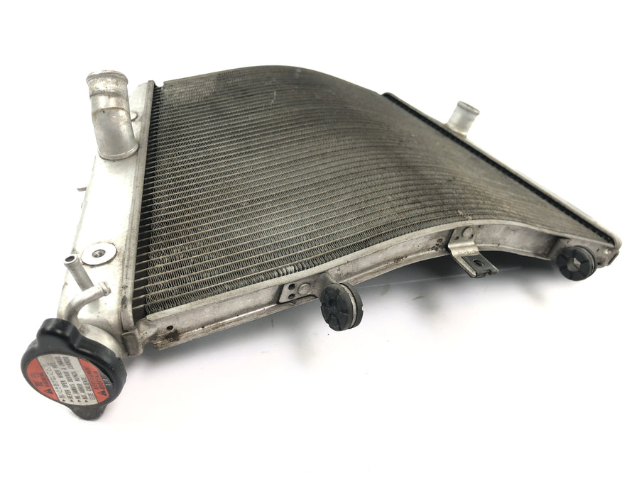 Suzuki GSX R 1000 WVB6 K6 [2006] - Radiator vandkøler kølesystem radiator netværk