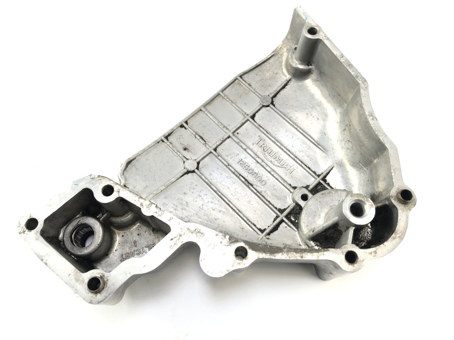 Triumph Thunderbird 900 T309RT [1996] - Spot Cover Motor Cover