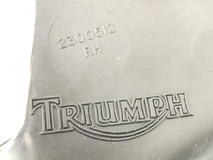 Triumph Daytona 900 T300 [1993] - Motorbeskyttelse beklædning til venstre og højre motorskaller