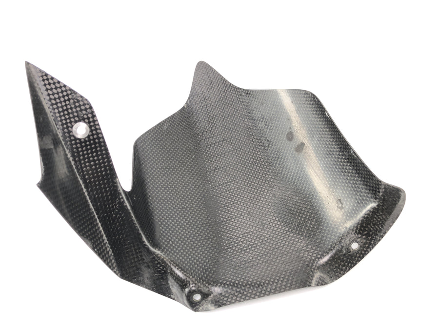 Ducati 999 H4 [2003] - Baghjulsdækning Carbon