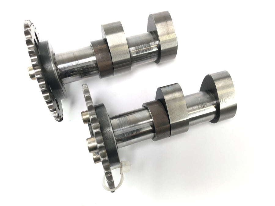 Aprilia SL 1000 Falco Pa [2000] - Camshaft -cylinder bag sætparret
