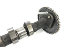 Triumph Thunderbird 900 T309RT [1996] - Camshaft Outlet Camshaft-5