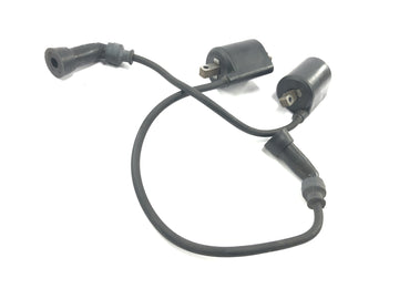 Suzuki Intruder VL 1500 AL [2000] - Tændspole tændspoler tændkabel tændrørsstik