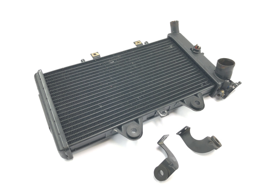 Triumph Daytona 1200 T300D [1994] - Radiator vandkøler kølesystem radiator netværk