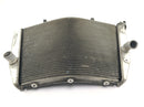Suzuki GSX R 1000 WVB6 K6 [2006] - Radiator vandkøler kølesystem radiator netværk-4