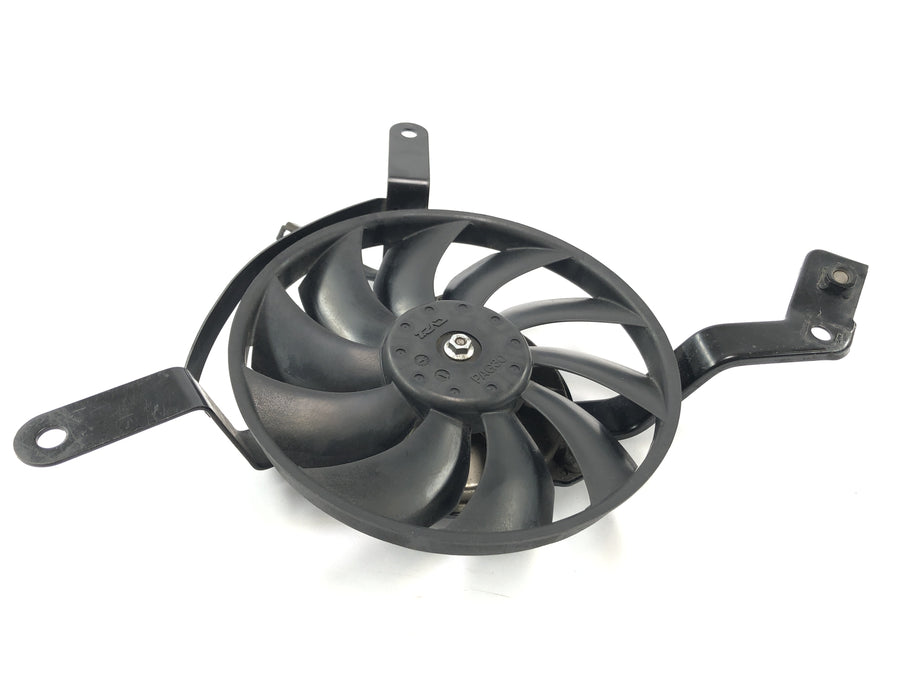 Triumph Street Triple R 675 D67LD [2010] - Køler Fan Motor Motor Motor Fan Radiator Blower