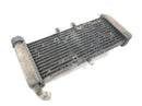 Aprilia RS 125 TW [2017] - Radiator vandkøler kølesystem radiator netværk-1