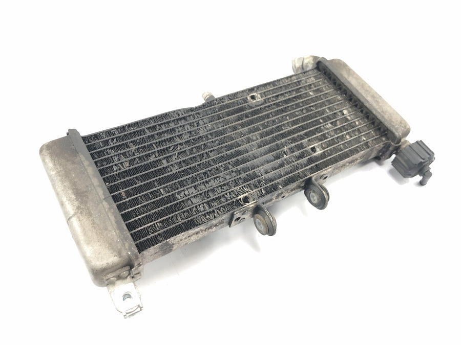 Aprilia RS 125 TW [2017] - Radiator vandkøler kølesystem radiator netværk