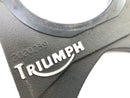 Triumph Daytona 955i T595 [1999] - Bremseanker Ankerplade-2