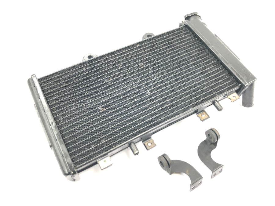 Triumph Daytona 1200 T300D [1994] - Radiator vandkøler kølesystem radiator netværk