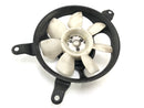 Triumph Daytona 955i T595 [1999] - køligere fan fan fan fan fan fan-1