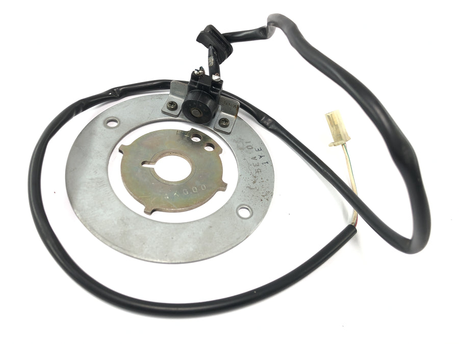 Yamaha XJR 1300 RP06 [2002] - Pickup generator statorplade kontrolplade
