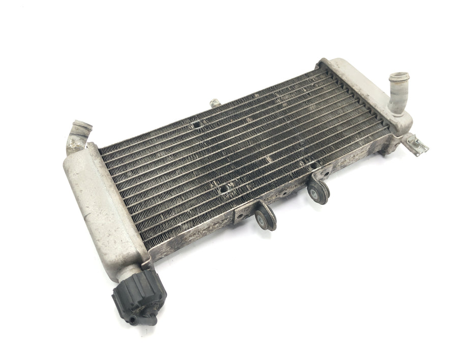 Aprilia RS 125 TW [2017] - Radiator vandkøler kølesystem radiator netværk