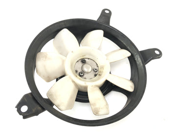 Triumph Daytona 955i T595 [1999] - køligere fan fan fan fan fan fan - 0