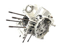 Ducati Monster SR2 800 M4 [2006] - motorhus, tomt hus for motorblok krumtaphus-5