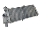 BMW F 650 GS R13 [2002] - Cool Water Cooler Motor Cooler foran-3