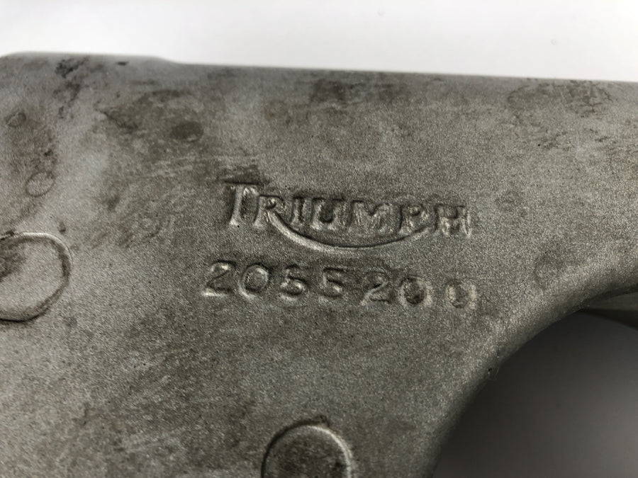 Triumph Speed ​​Triple 955i [1999] - Swing Einlarwinge