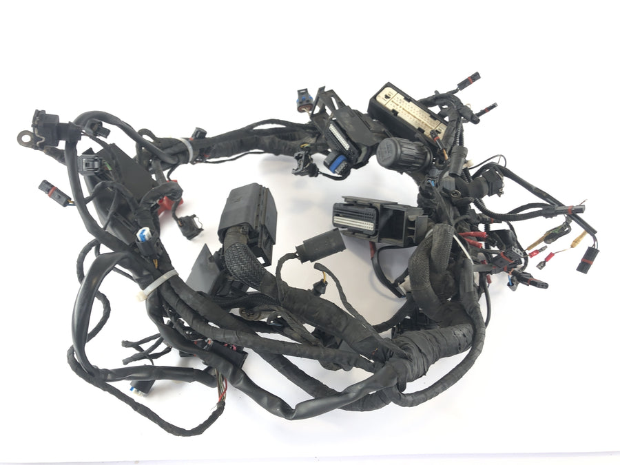 BMW R 1200 R [2007] - Ledningsnet