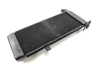 Kawasaki Versys KLE 650 A [2006] - Radiator vandkøler kølesystem radiator - 0