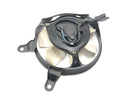 Triumph Daytona 955i T595N [2003] - køligere fan fan -motor-5