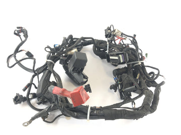 BMW R 1200 R [2007] - Ledningsnet