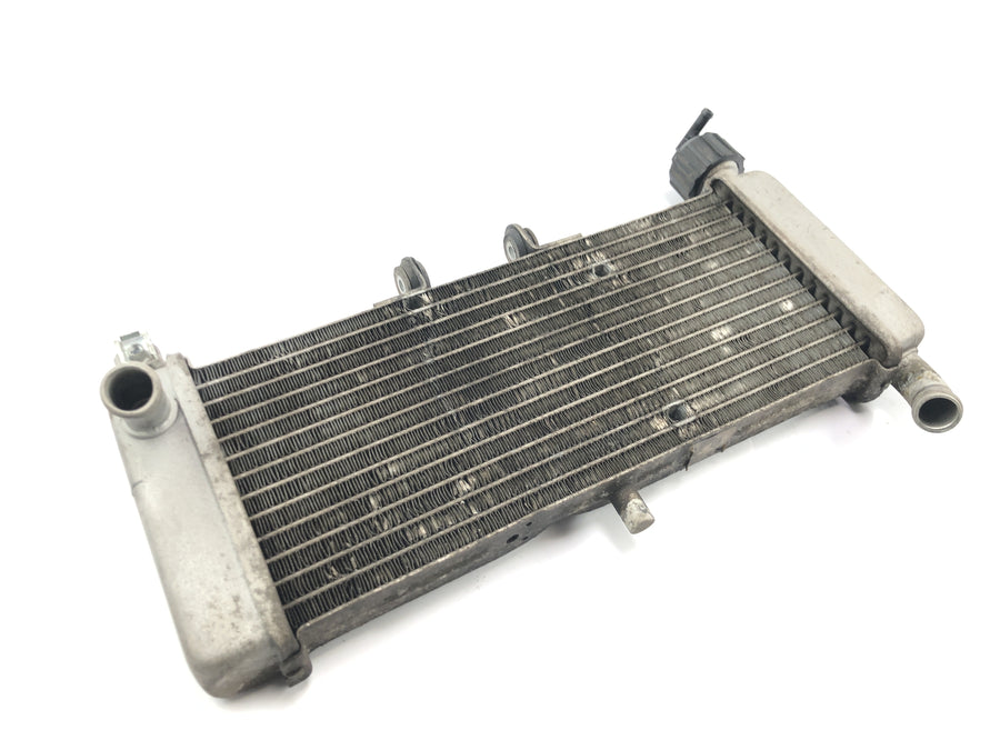 Aprilia RS 125 TW [2017] - Radiator vandkøler kølesystem radiator netværk