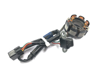 Suzuki RM Z 250 RJ41A [2007] - Stator Generator Tændspole Pickup Generator - 0