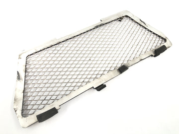 BMW R 1150 GS R21 [2002] - Kølergitter beskyttelsesgitterpanel foran