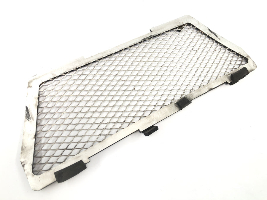 BMW R 1150 GS R21 [2002] - Kølergitter beskyttelsesgitterpanel foran