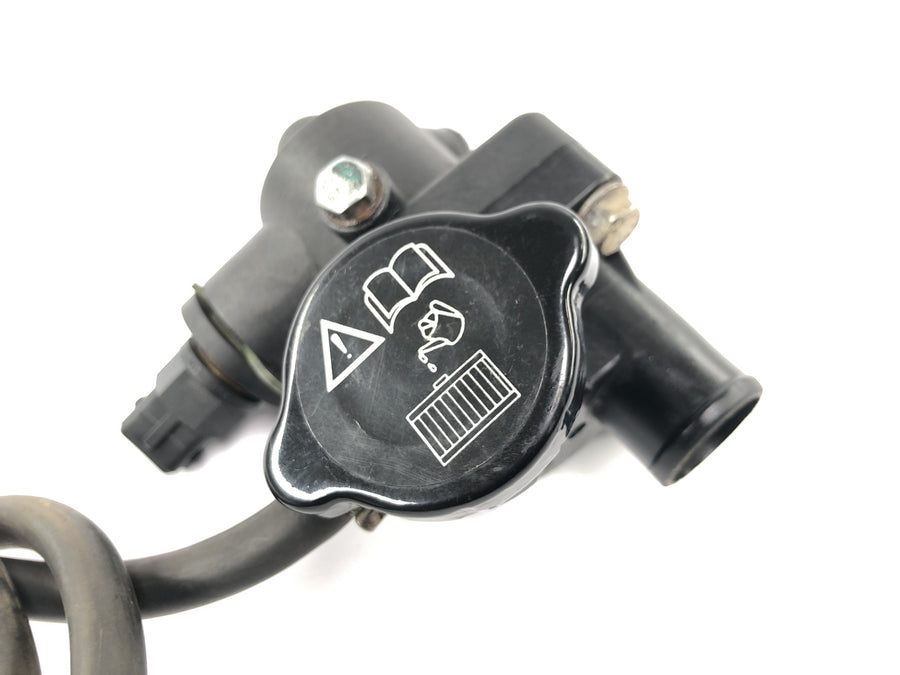 TRIUMPH DAYTONA 955I T595 [1998] - Termostathus for kølevæsketermostat