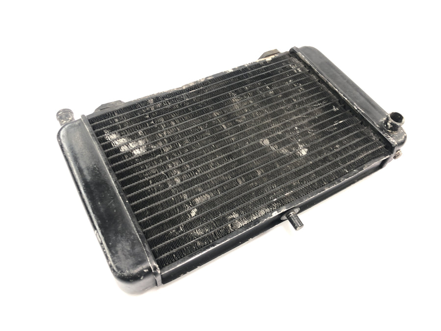 Aprilia RS 125 Extrema [1994] - Radiator vandkøler radiator kølesystem