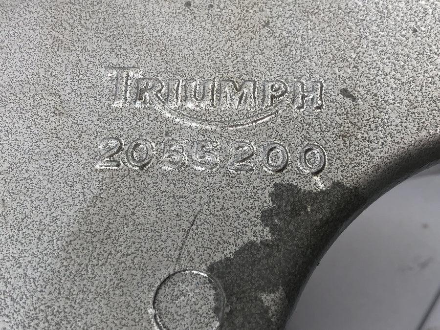 Triumph Speed ​​​​Triple T509 [1998] - Bageste svingarm