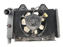 Triumph Daytona 900 T300 [1993] - Cool Water Cooler Motor Cooler foran-5