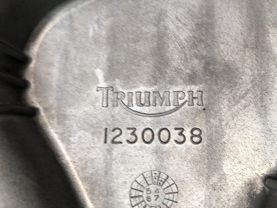 Triumph Daytona 900 T300 [1996] - Motordæksel til oliesump
