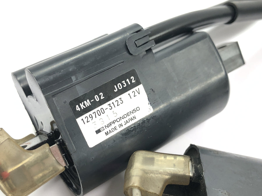 Yamaha YZF R1 RN04 [2001] - Tændspoler tændspole kit tændingssystem tændkabel