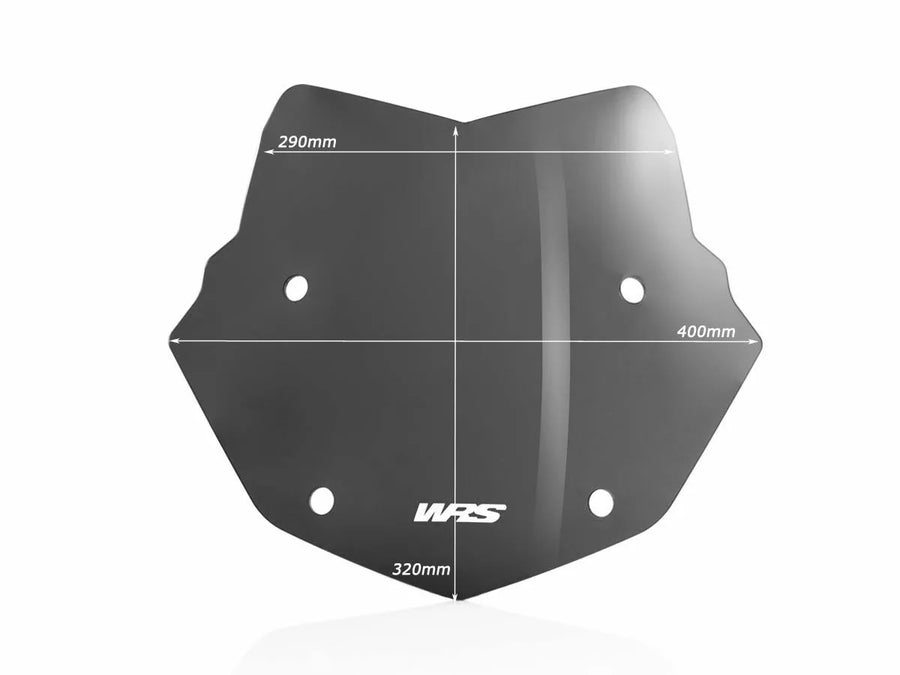 BMW R 1200 R [WRS] - forrude