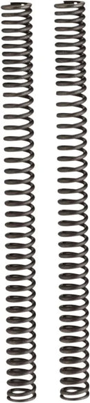 Triumph Street Scrambler [PROGRESSIVE SUSPENSION] – Gabelfedern