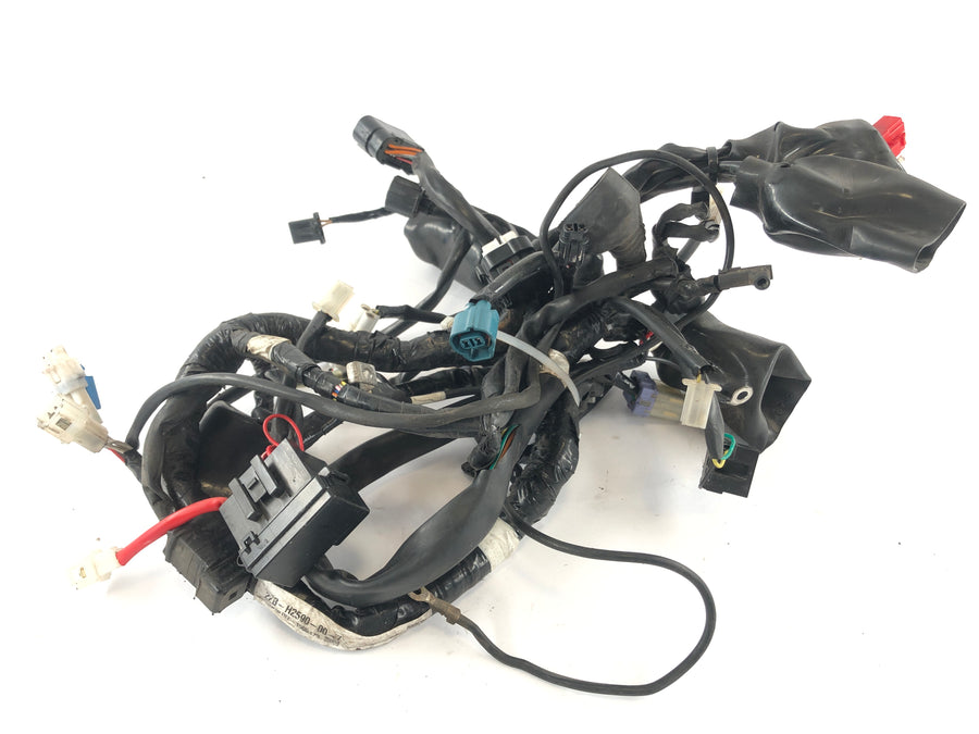 Yamaha WR 125 R DE07 [2016] - Ledningsnet