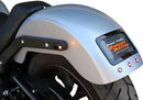 harley davidson fxlrs [PAUL YAFFE BAGGER NATION] – The Fix bagskærm-2