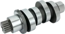 Harley-Davidson FXLRST 1923 Softail Low Rider ST 117 H.O. [2026] - Reaper Cam 592 Series – Bild 10