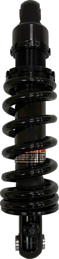 Harley-Davidson FXBB 1923 Softail Street Bob 117 [2025] - 12 mm lambdasensor - billede 5
