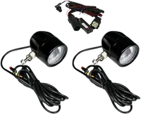 Harley-Davidson FLRT 1868 Freewheeler 114 [2022-2024] - 4-1/2" LED-Nebelscheinwerfer – Bild 11