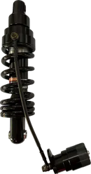 Harley-Davidson FXBB 1923 Softail Street Bob 117 [2025] - 12 mm lambdasensor - billede 8