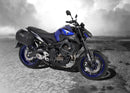 Yamaha MT-09 [2017-2020] -C-Bow Side Carrier-1